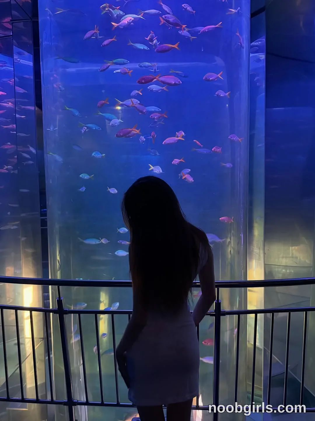 kusssecka Standing with her back to the camera wearing Light grey sleeveless short dress in aquarium viewing area
