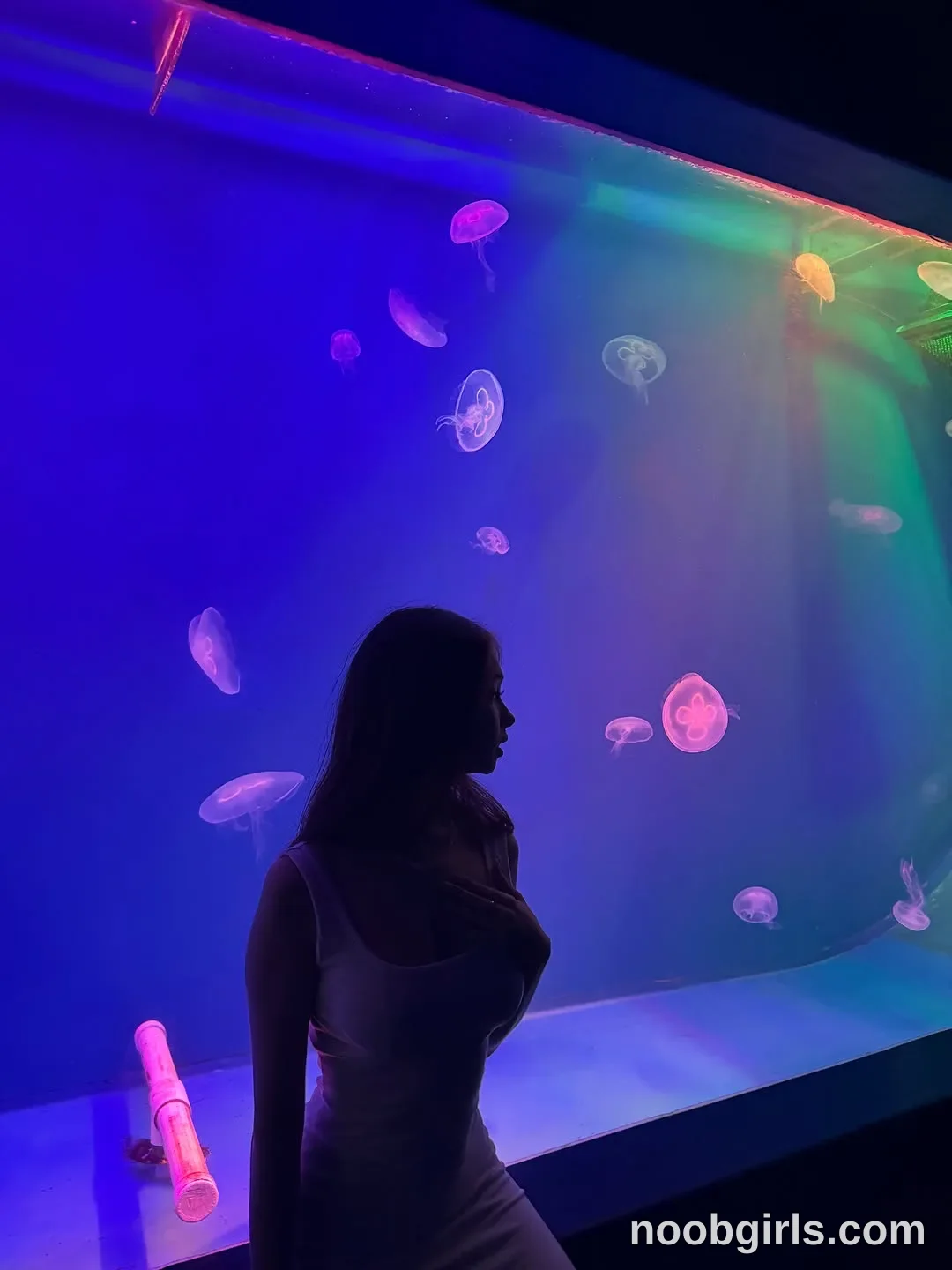 kusssecka Standing beside the aquarium tank with her head turned to the right