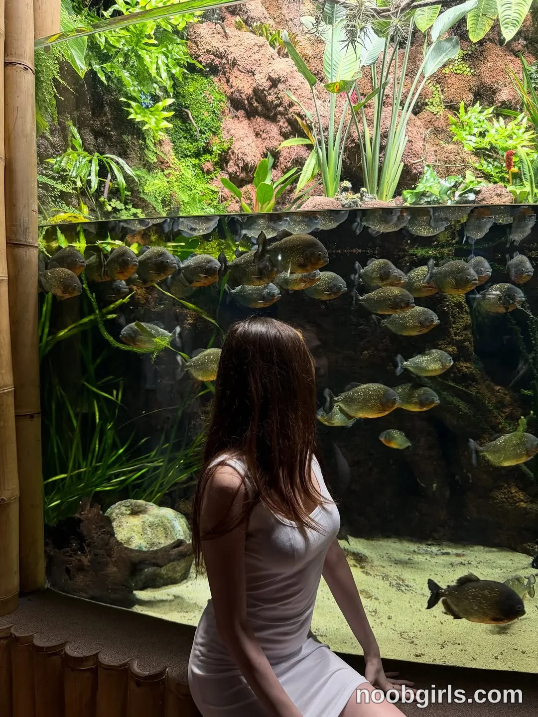 kusssecka sitting on a ledge in front of the aquarium wearing White sleeveless dress in aquarium exhibit