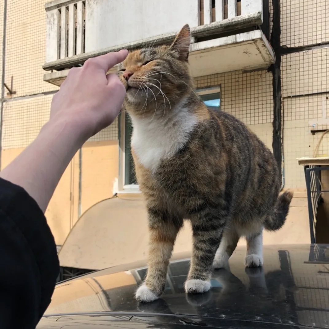 Katana 侍刀 on Chaturbate