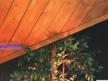 lissa_meooow next stream may 17 at 7 8 am gmt live stream capture — Chaturbate cam girl