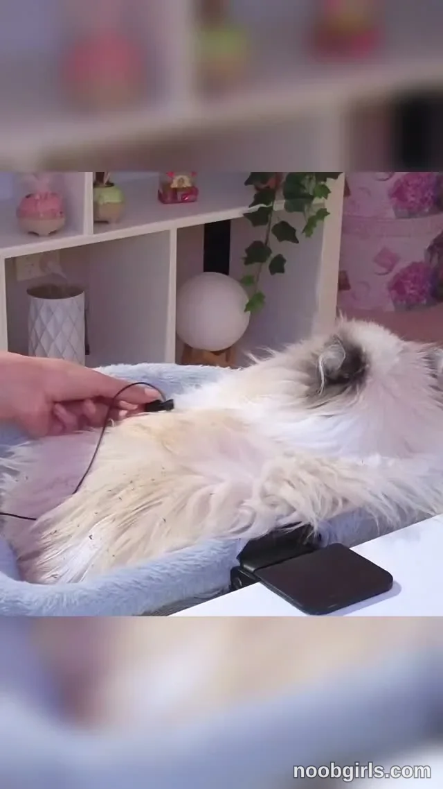 Cleo Patra reel: Fur ASMR | on