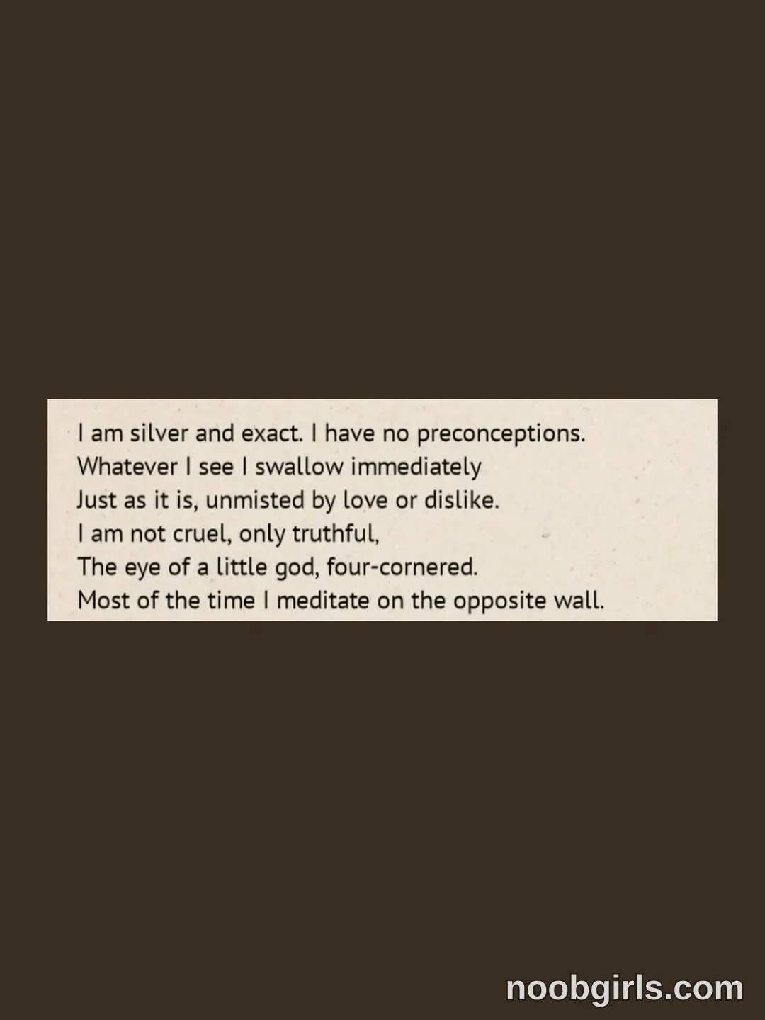 papalururiririrpi (@maria_alfonsina_) — "Most of the time I meditate on the opposite wall."