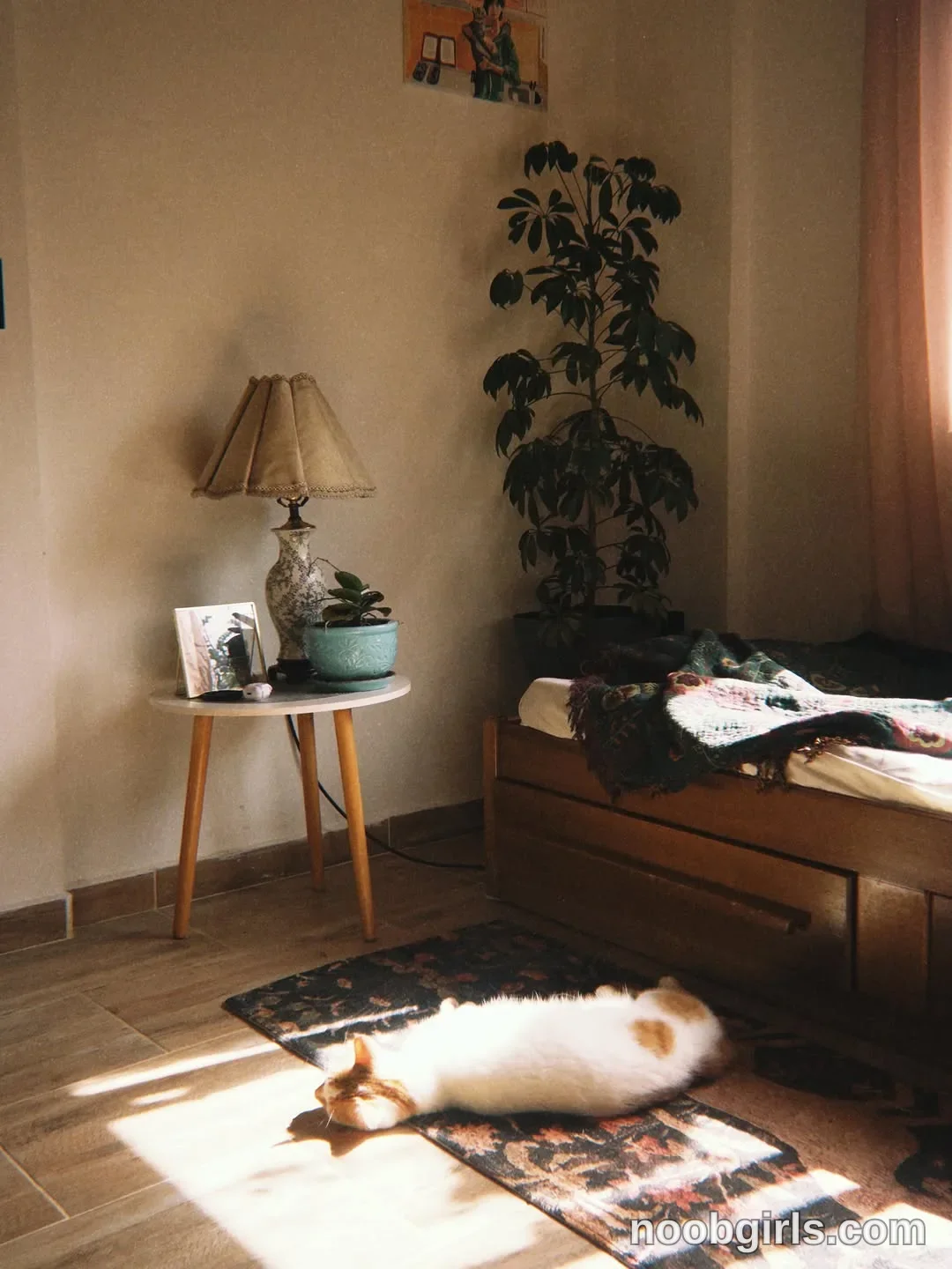 papalururiririrpi (@maria_alfonsina_) — photo 38 from her gallery