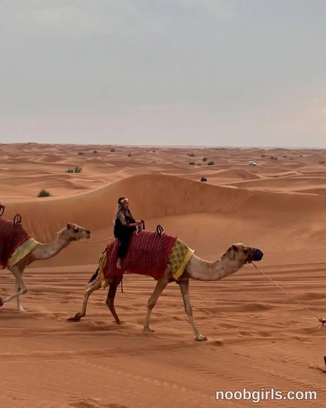Marrylou Anne (@marrylouanne) — "حلوى عربية 🐪"