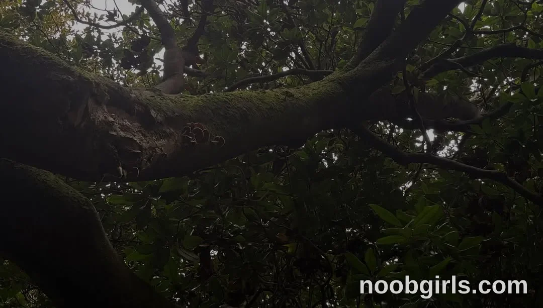Mevis (@mevis_li) — "I adore nature, forests and animals, my will would be to live in a tent or if I…"