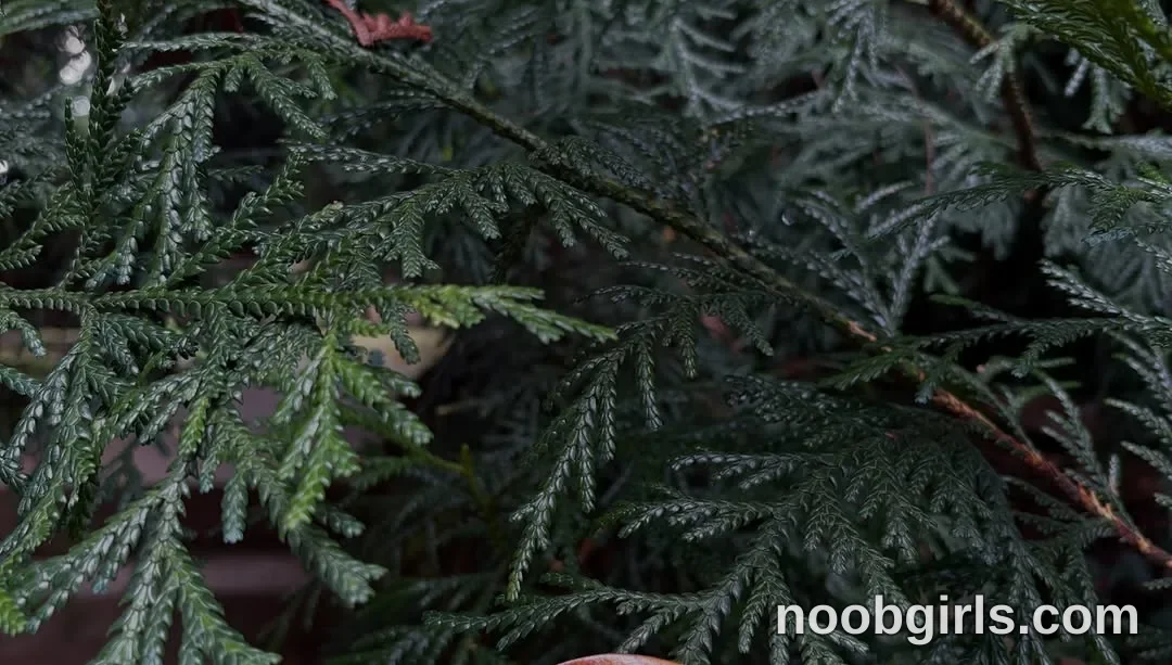 Mevis (@mevis_li) — "I adore nature, forests and animals, my will would be to live in a tent or if I…"