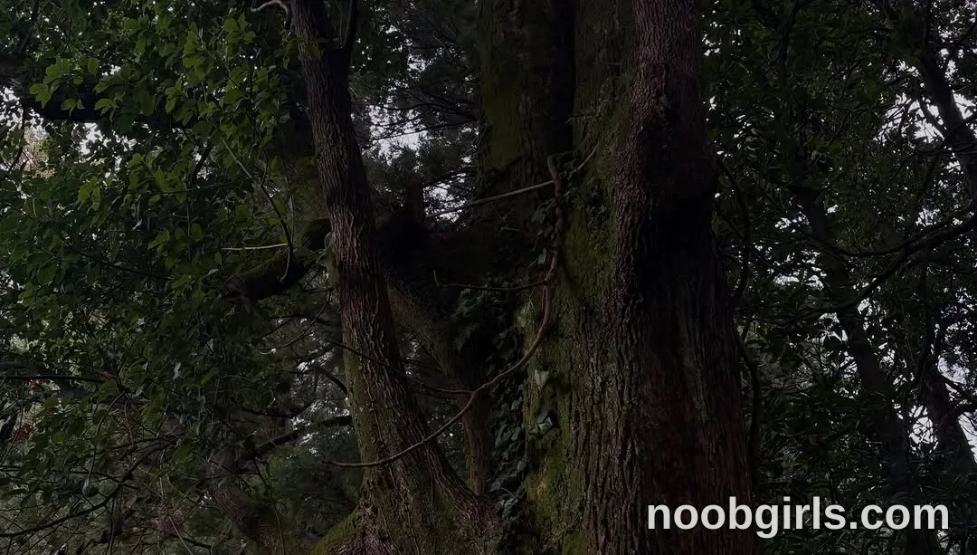 Mevis (@mevis_li) — "I adore nature, forests and animals, my will would be to live in a tent or if I…"