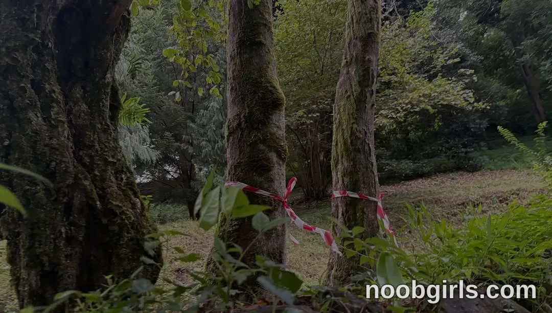 Mevis (@mevis_li) — "I adore nature, forests and animals, my will would be to live in a tent or if I…"
