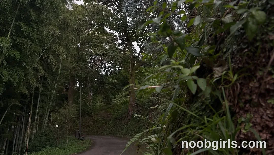 Mevis (@mevis_li) — "I adore nature, forests and animals, my will would be to live in a tent or if I…"