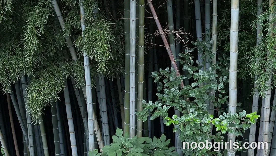 Mevis (@mevis_li) — "I adore nature, forests and animals, my will would be to live in a tent or if I…"