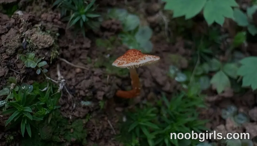 Mevis (@mevis_li) — "I adore nature, forests and animals, my will would be to live in a tent or if I…"