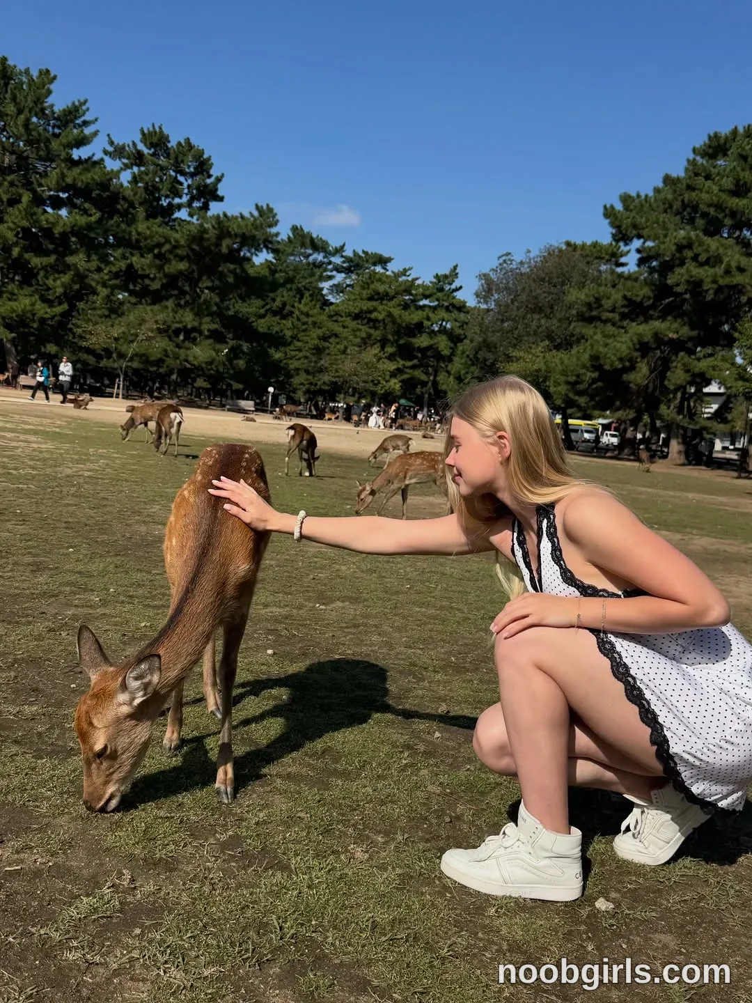 Miablueye crouching wearing white sleeveless dress with black trim and small dark dots in grassy park or deer park