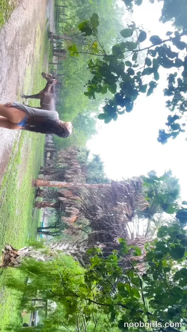 Ana Michelle (@michellesbate) — "annual ritual 🎥🐢⛈️🪻🌿"