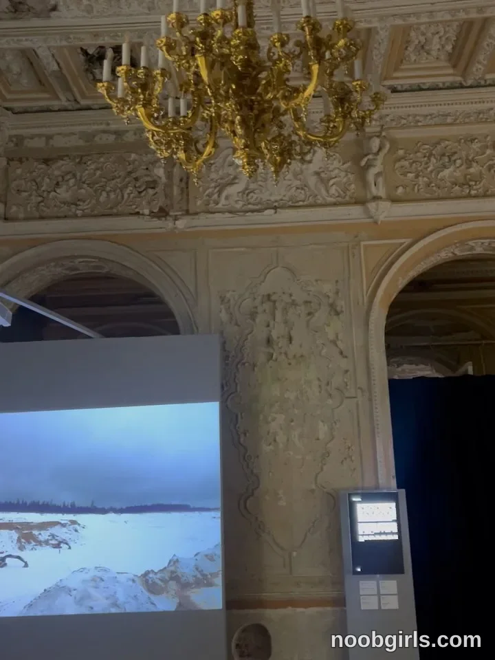 Miladystarlight (@miladystarlight) — "Today I couldn’t get past the historic interior of the Guriev-Naryshkin…"