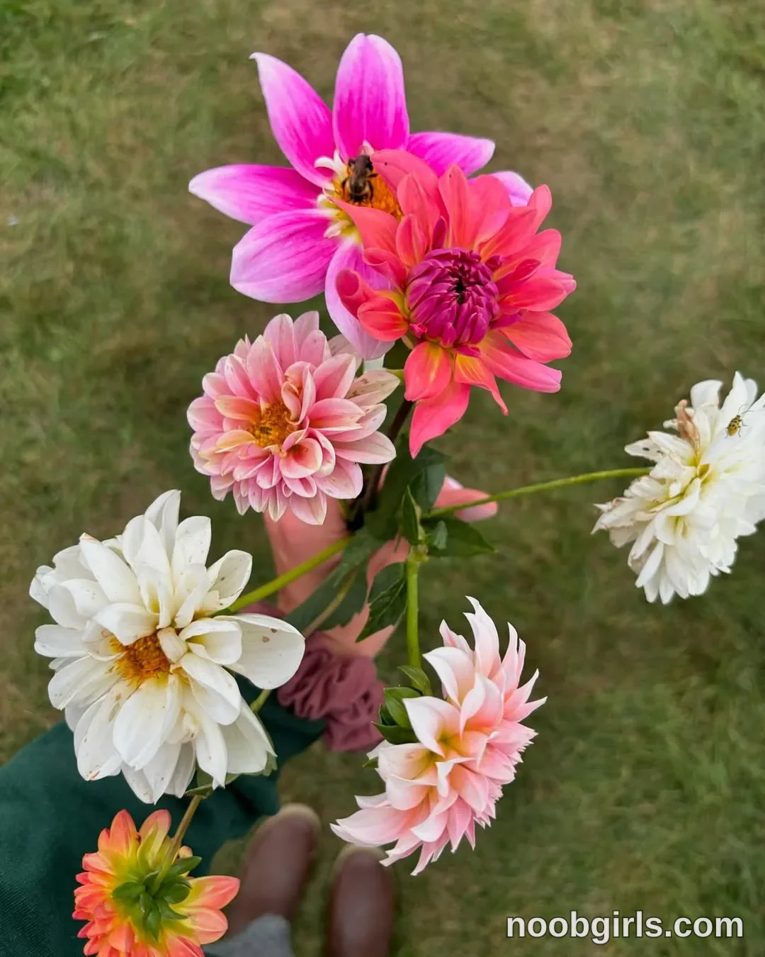 Mia (@mommamia12) — "my life is full of color 🌻💐🌺🌸🤠🍂🦌"