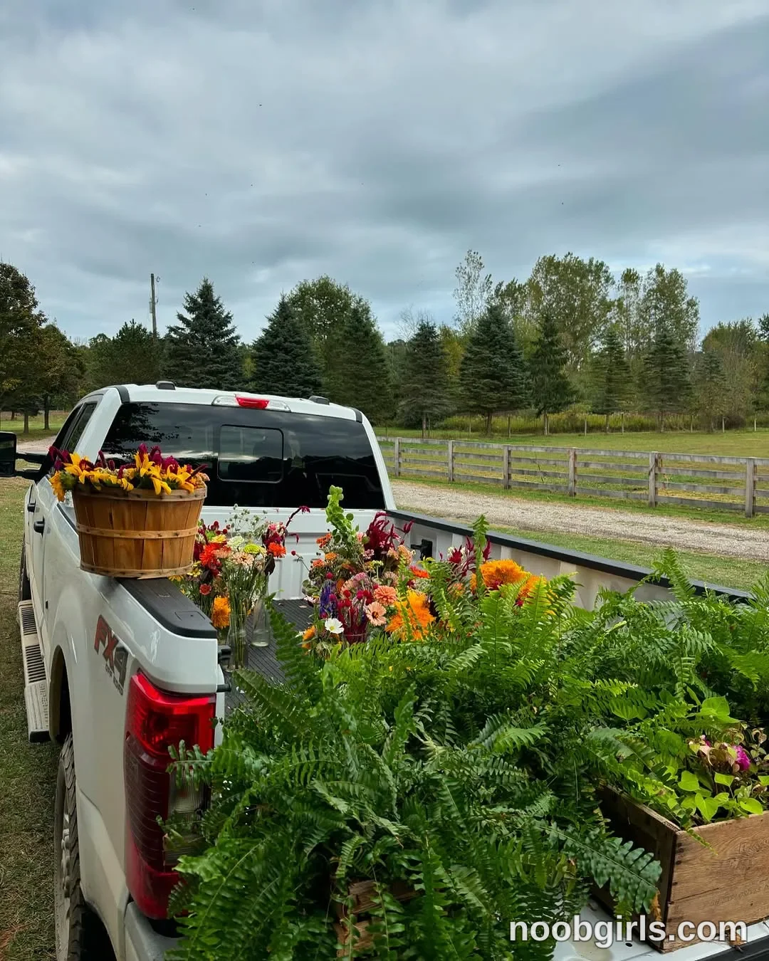 Mia (@mommamia12) — "my life is full of color 🌻💐🌺🌸🤠🍂🦌"