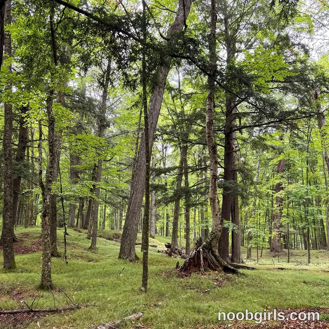 Mia (@mommamia12) — "north woods weekend!!"