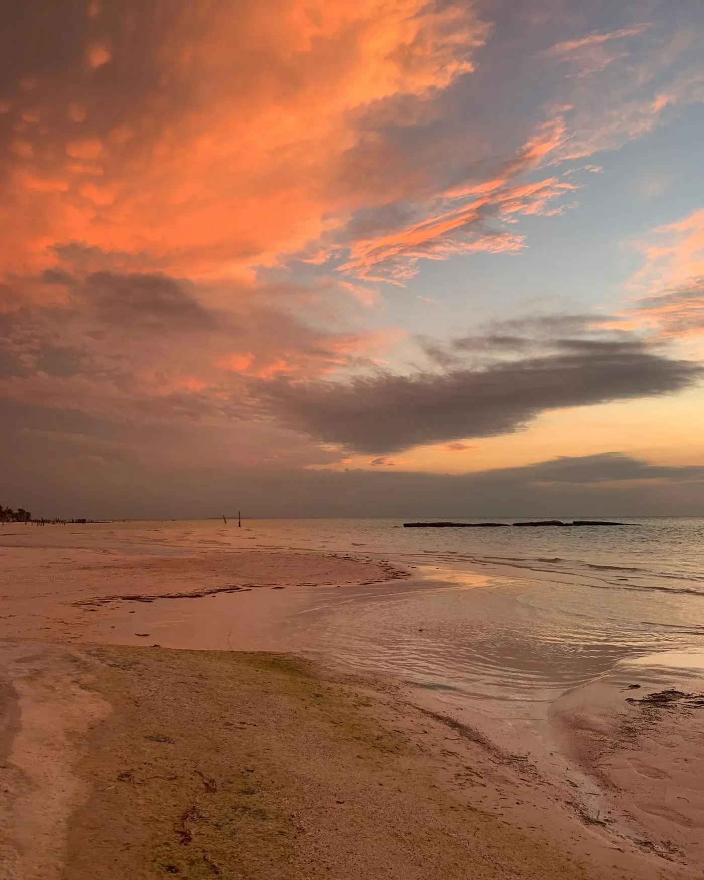 n_o_v_a instagram candid shot — real Instagram photo