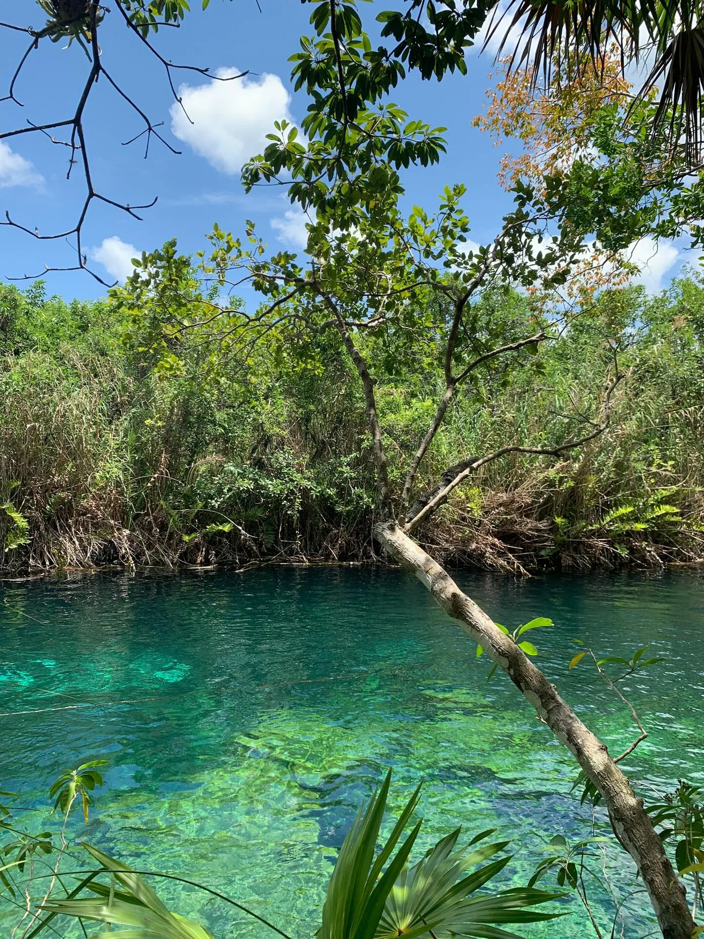 What Makes Latina Cam Shows So Irresistible Right Now