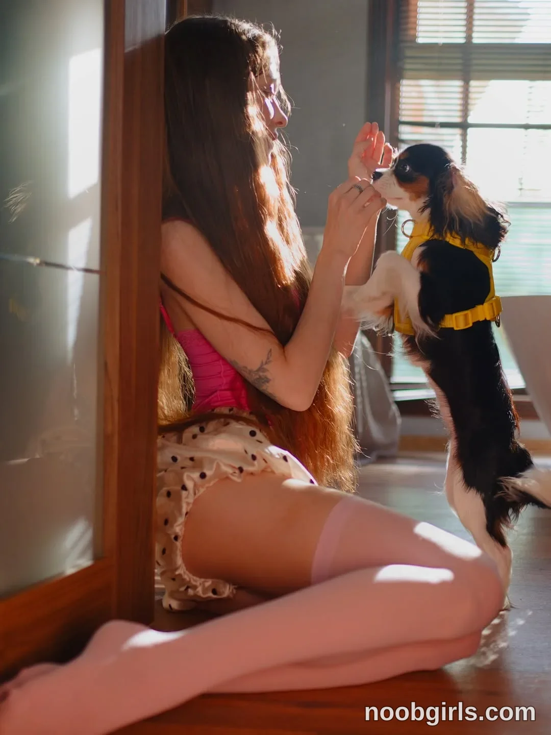 onlykitty_chillhere (@onlykitty_chillhere) — "my funny star"