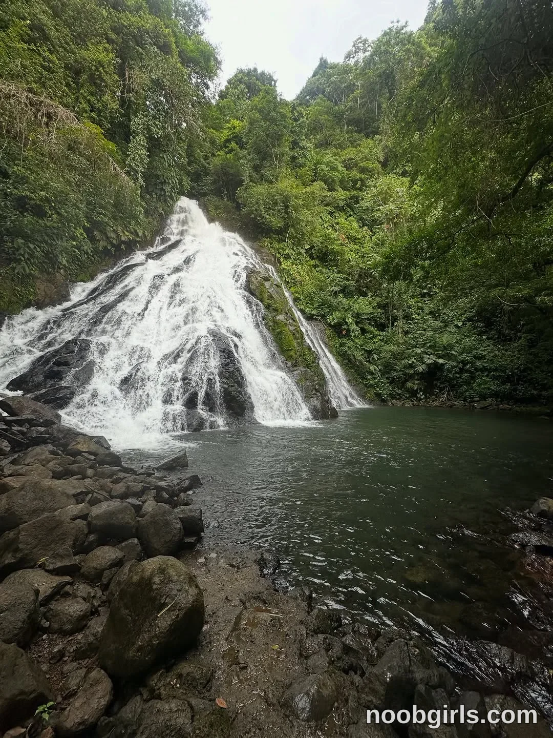 Paula Toro (@paulatoro__) — "Alucinante tanta belleza biodiversidad y vida que tiene en ese lugar! Cumplir…" in Bahía Solano