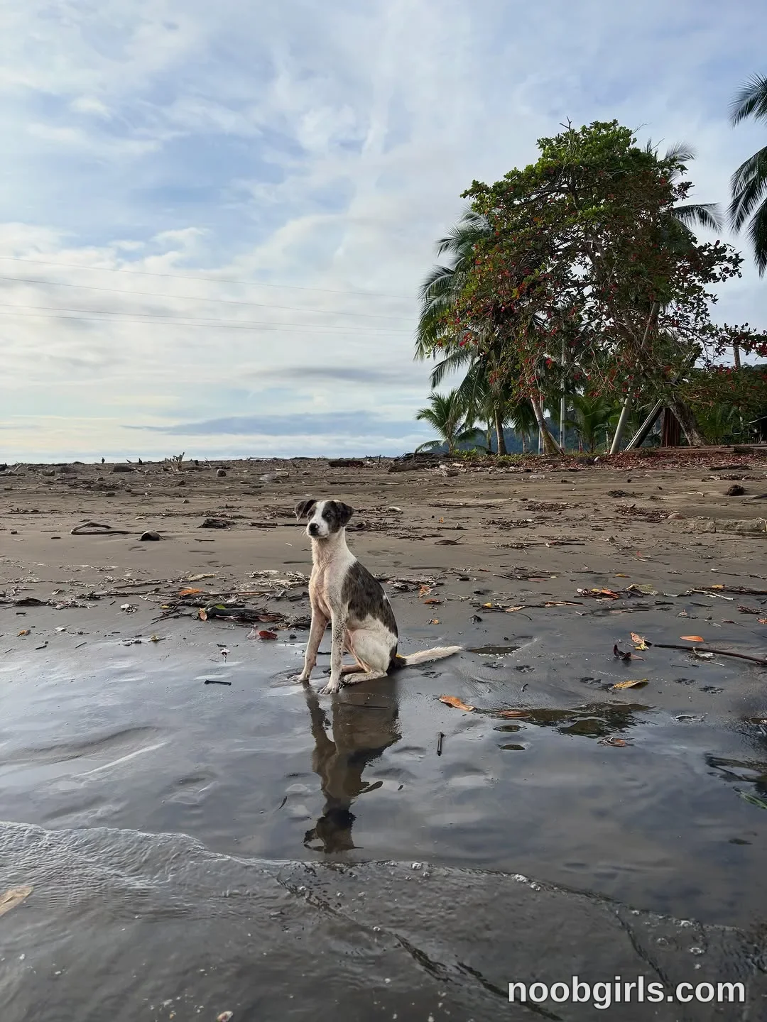 Paula Toro (@paulatoro__) — "Alucinante tanta belleza biodiversidad y vida que tiene en ese lugar! Cumplir…" in Bahía Solano