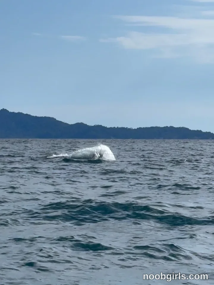 Paula Toro (@paulatoro__) — "Alucinante tanta belleza biodiversidad y vida que tiene en ese lugar! Cumplir…" in Bahía Solano