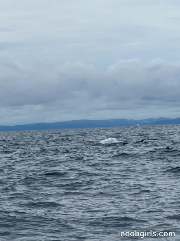 Paula Toro (@paulatoro__) — "Alucinante tanta belleza biodiversidad y vida que tiene en ese lugar! Cumplir…" in Bahía Solano