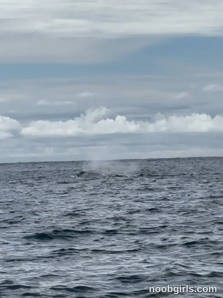 Paula Toro (@paulatoro__) — "Alucinante tanta belleza biodiversidad y vida que tiene en ese lugar! Cumplir…" in Bahía Solano