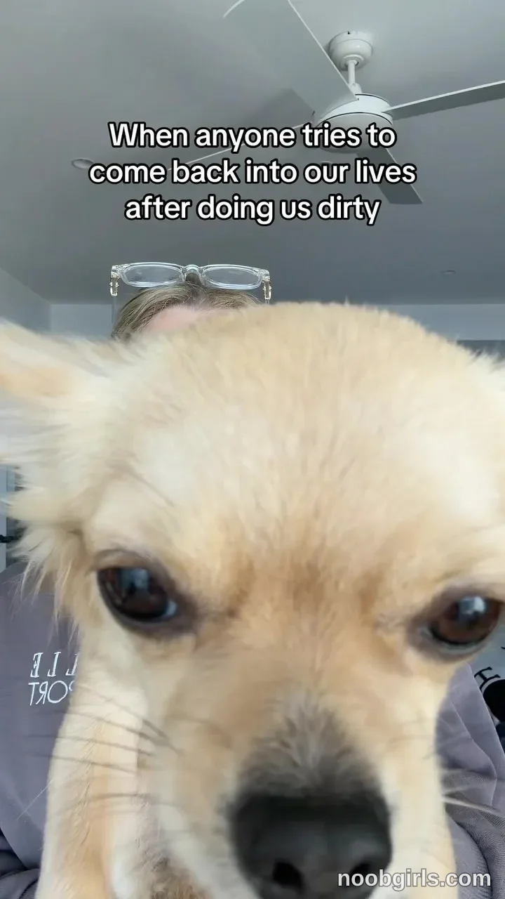 Dolly (@sweetlikedolly) — "She bites btw"