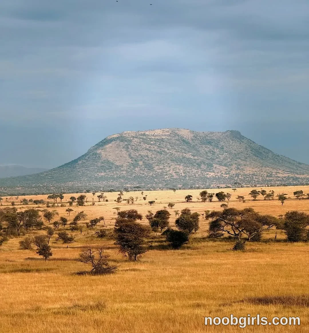 TAANNI no person is visible in grassland in Serengeti National Park, Tanzania