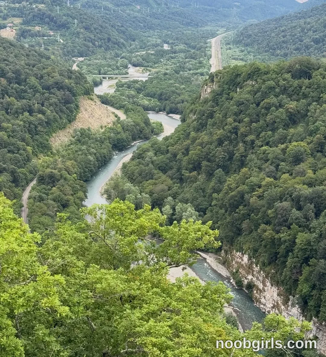 tastypoint none (no person present in frame) in elevated view overlooking a forested mountain valley