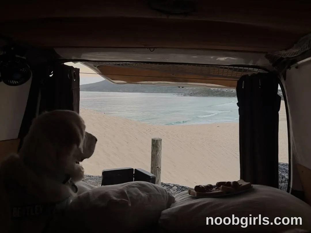Teish (@teishh) — "Bentley loves the beach so much, so I decided to take him down the East Coast…"