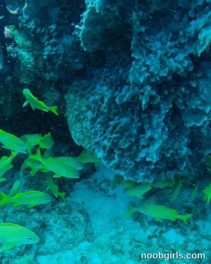 Alicia (@thecosmicgirl) — "Mi lugar feliz x siempre 🥰🌊🐟🐠"
