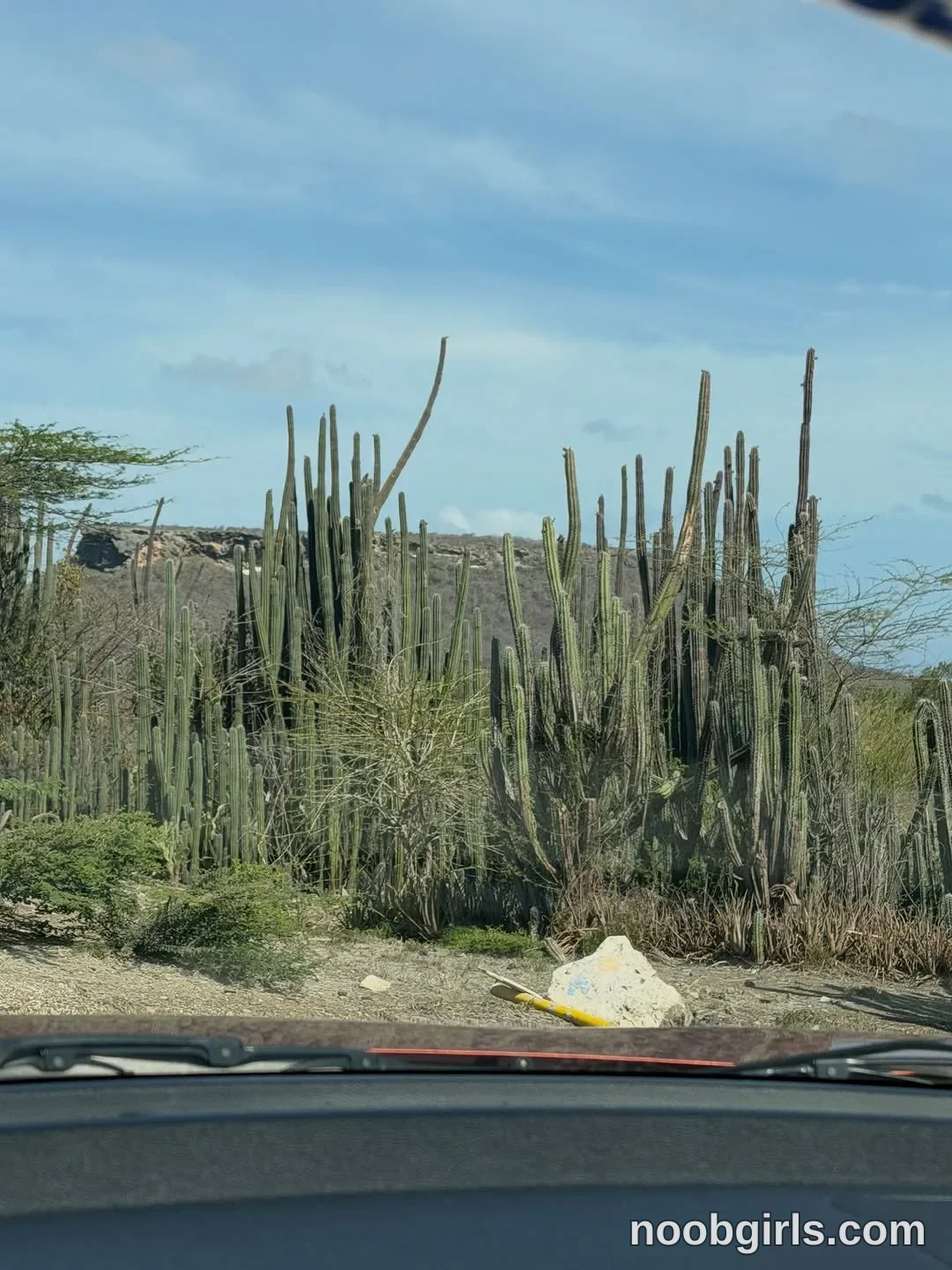 Alicia (@thecosmicgirl) — "Trágame tierra y escúpeme allá de nuevo 🥺✨"