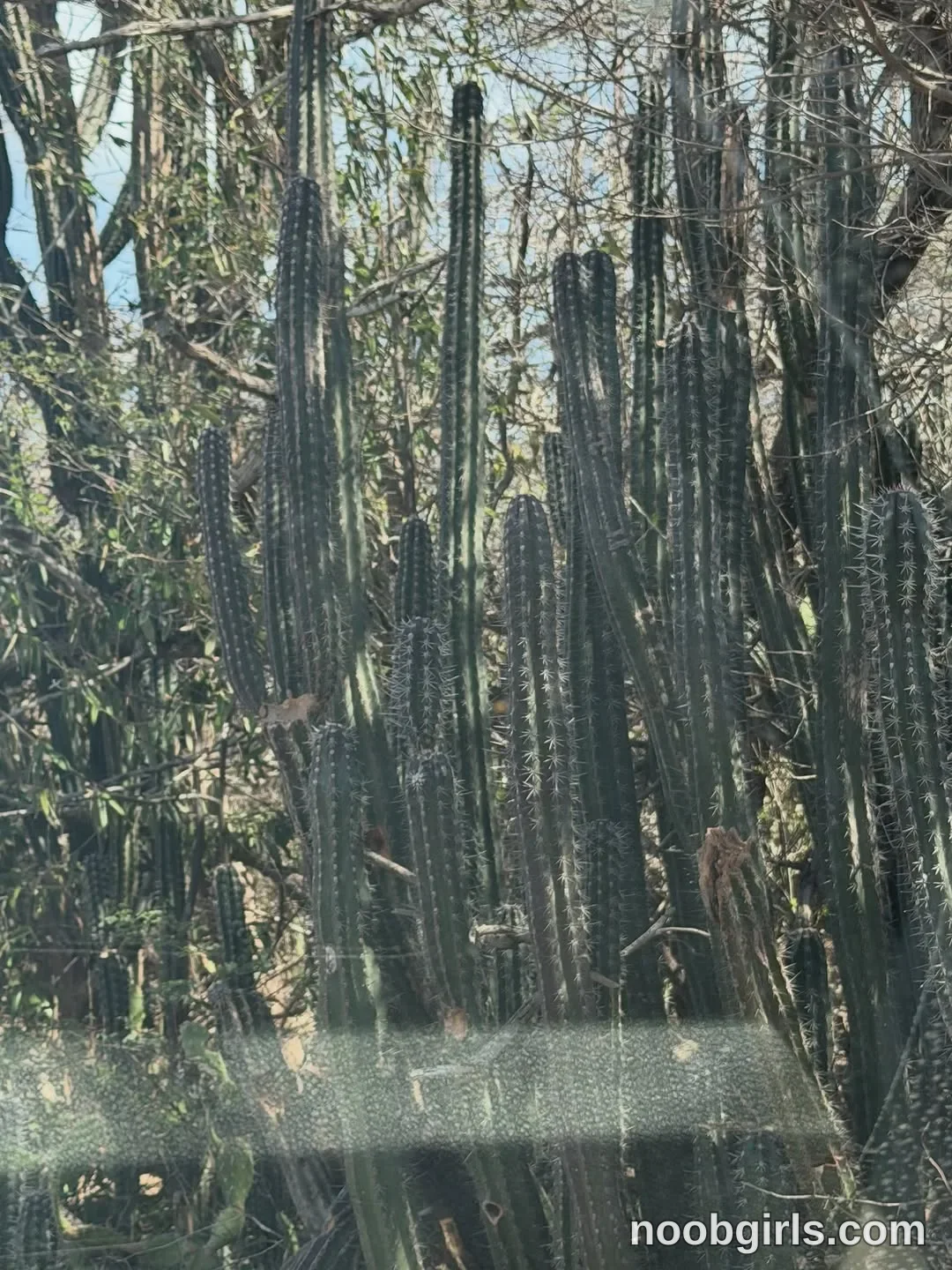 Alicia (@thecosmicgirl) — "Trágame tierra y escúpeme allá de nuevo 🥺✨"