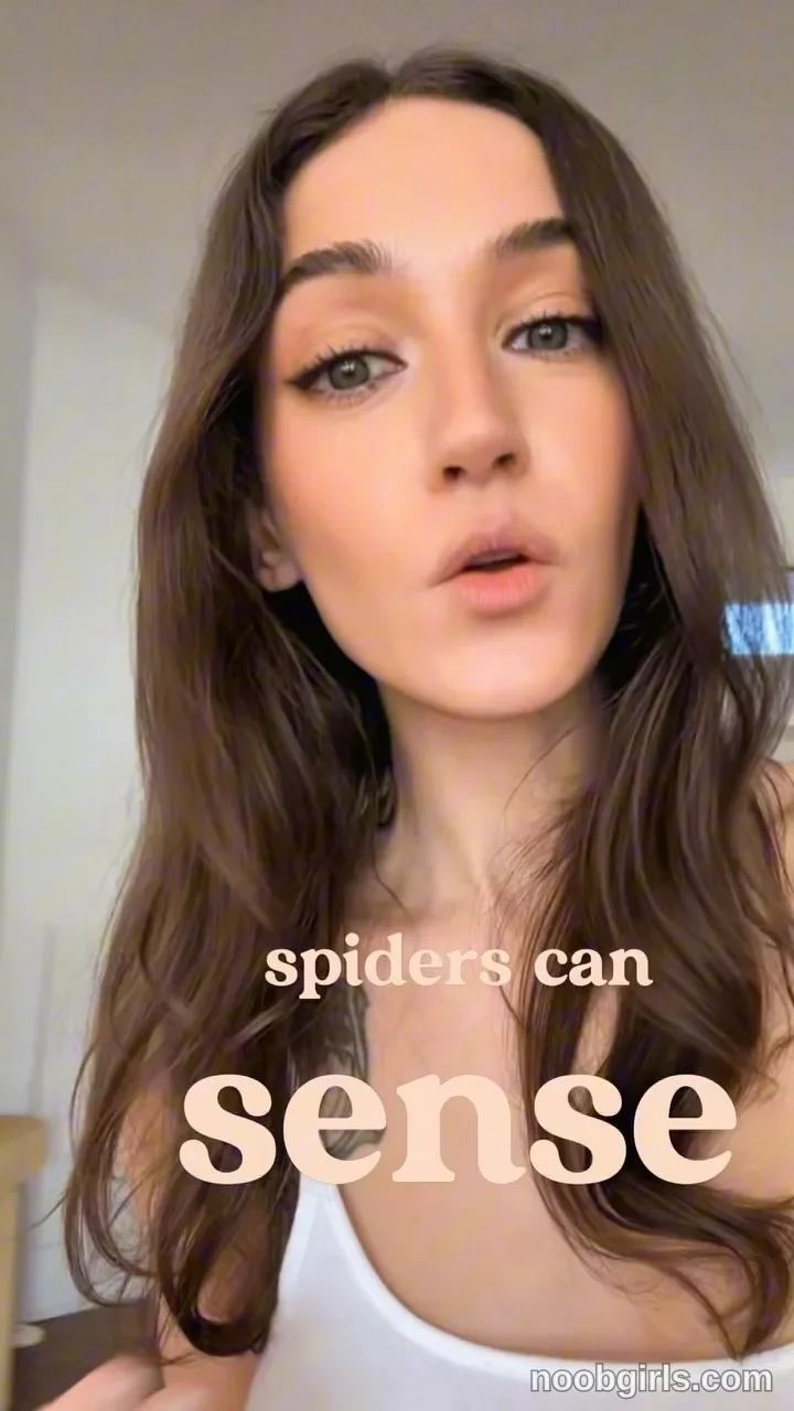 thedadcamp reel: Spiders can sense