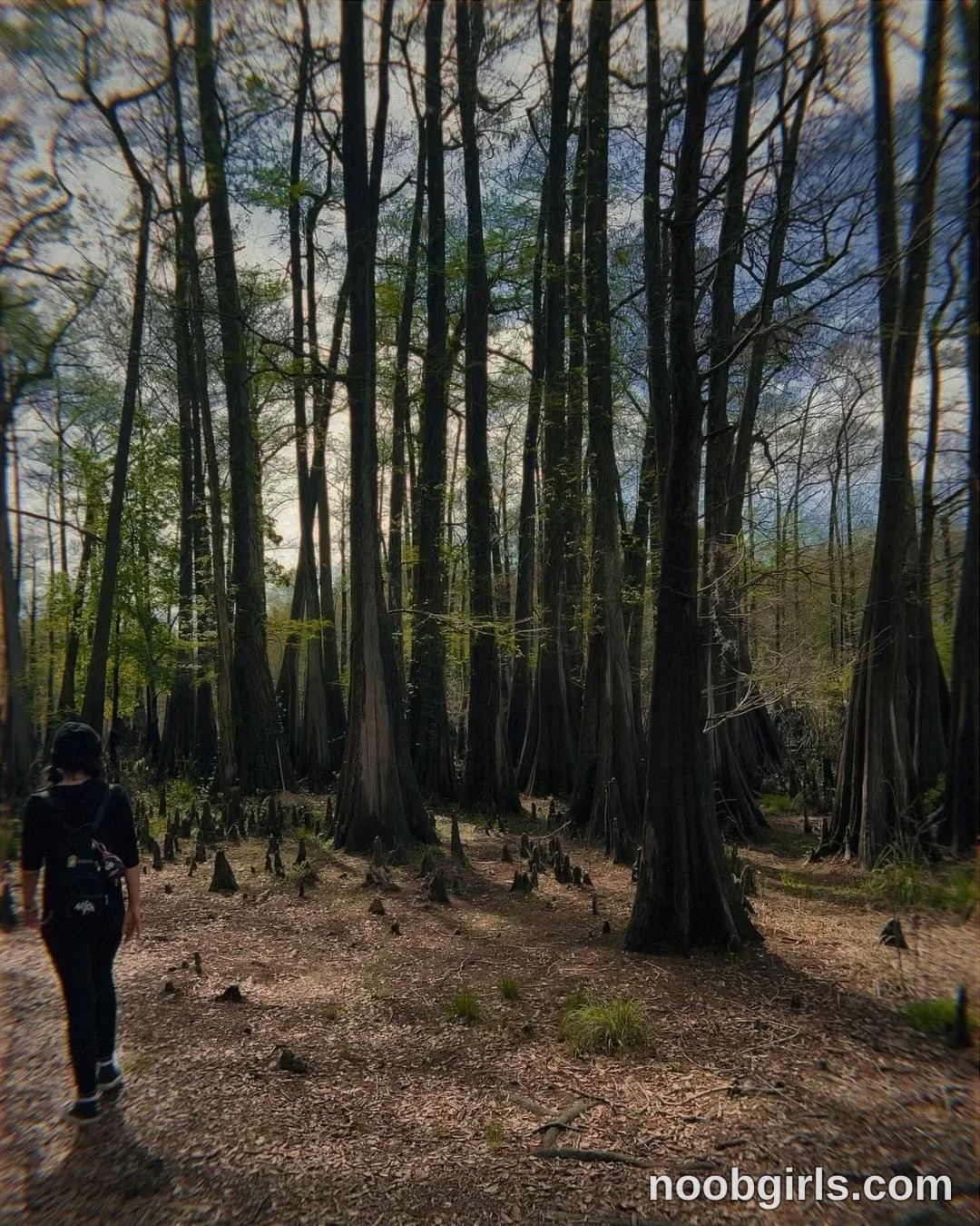 Liz (@vixenliz) — "getting lost with some fae 🍄🧚🏼‍♀️🫧"