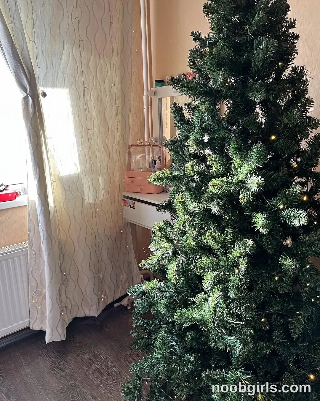 Lina No person is visible. in residential room