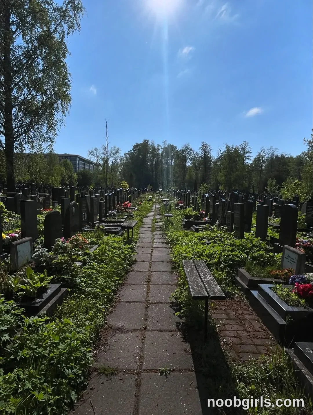 Lina No woman is visible; no activity involving a woman can be identified. in cemetery