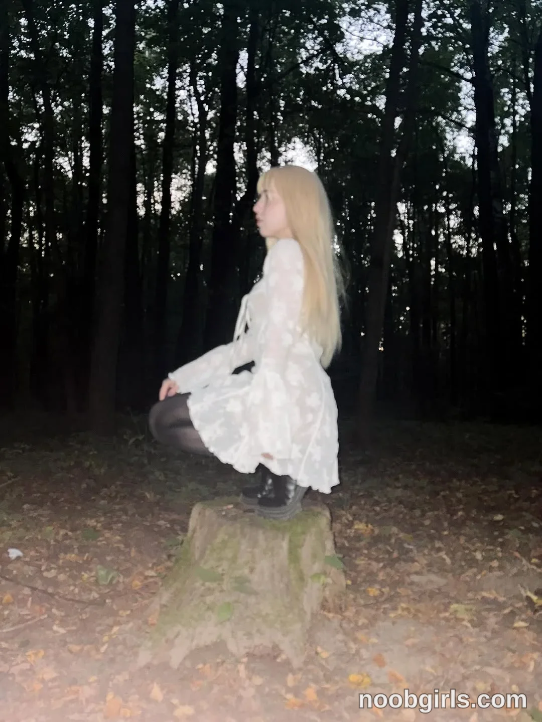 Misa (@yukimisa) — "walk in the forest"