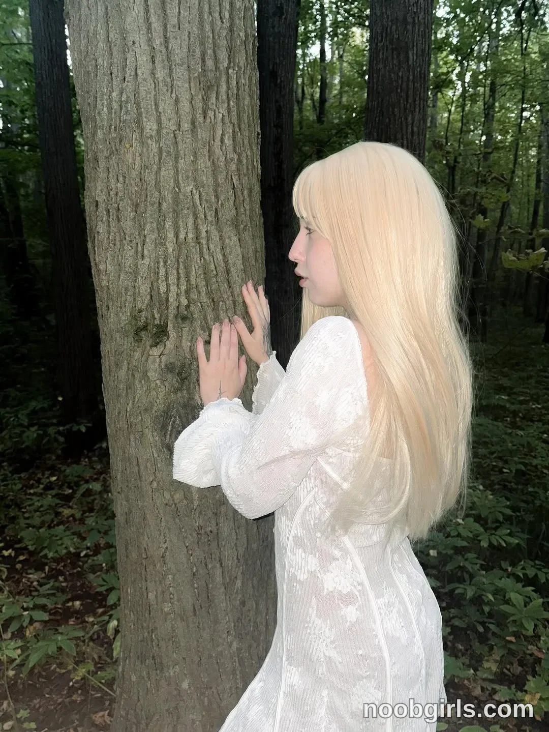 Misa (@yukimisa) — "walk in the forest"